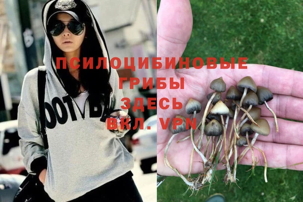 шишки Алексеевка