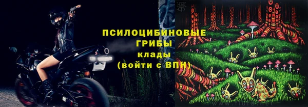 шишки Алексеевка
