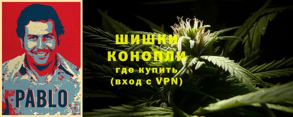 шишки Алексеевка