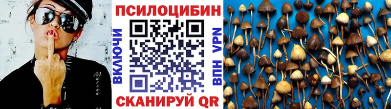 KRAKEN сайт  цены наркотик  Харабали  Галлюциногенные грибы Cubensis 